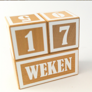 Mijlpaalblokken