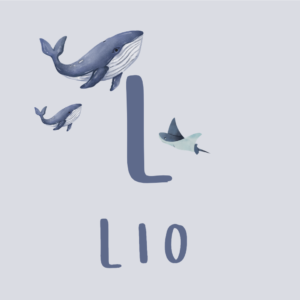Herinneringskist A is voor | Walvis